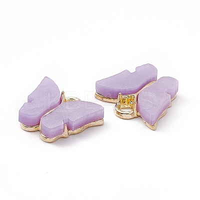 Acrylic Charms MACR-C012-01KCG-15-1