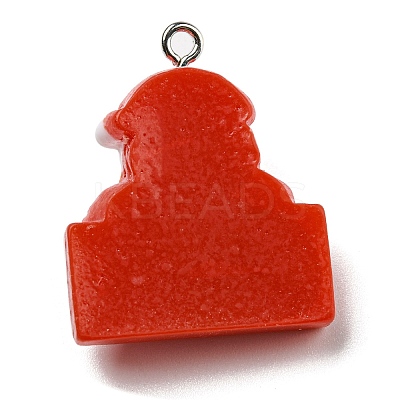 Opaque Resin Pendants CRES-D010-02G-1