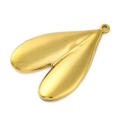 Ion Plating(IP) 304 Stainless Steel Pendants STAS-D194-17G-1
