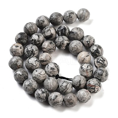 Natural Map Stone/Picasso Stone/Picasso Jasper Strands X-G-G099-10mm-27-1