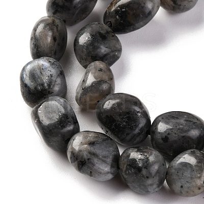 Natural Larvikite Beads Strands G-G146-A13-01-1