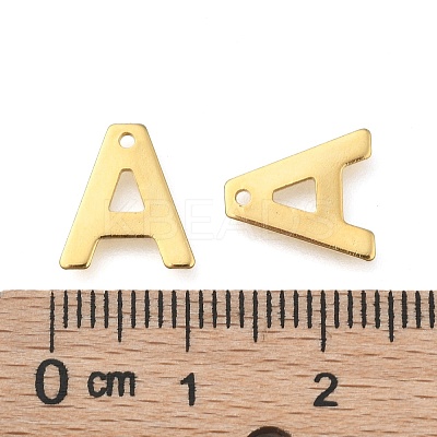304 Stainless Steel Charms LS-X-STAS-P141-A-1