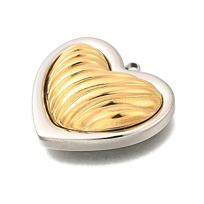 304 Stainless Steel Pendants STAS-M123-03I-PG01-1