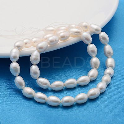 Natural Cultured Freshwater Pearl Beads Strands X-PEAR-L001-15-1