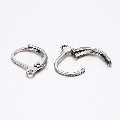 Tarnish Resistant 304 Stainless Steel Leverback Earring Findings LS-STAS-H434-51P-1