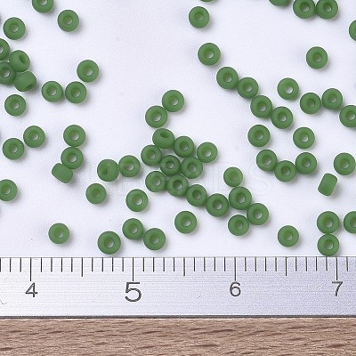 MIYUKI Round Rocailles Beads SEED-G007-RR0411F-1