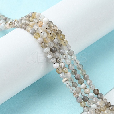 Natural Botswana Agate Beads Strands G-F748-D01-1