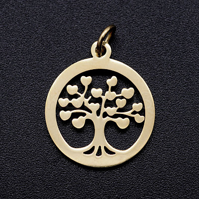 304 Stainless Steel Pendants STAS-T046-JA350-2A-G-1