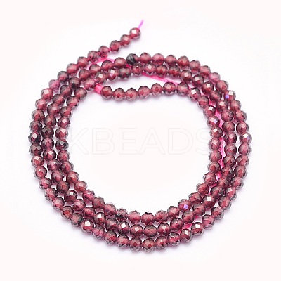 Natural Garnet Beads Strands LS-G-O166-13C-3mm-1