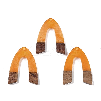 Resin & Wood Pendants WOOD-F015-16B-1