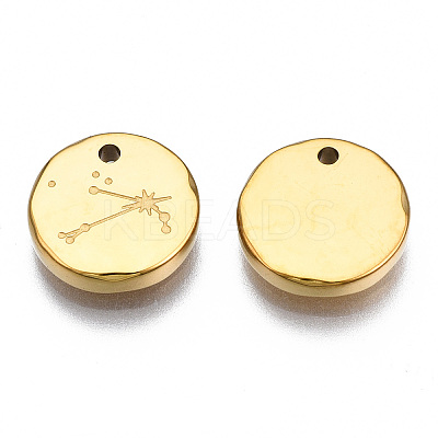 316 Surgical Stainless Steel Charms STAS-S116-418B-G-1