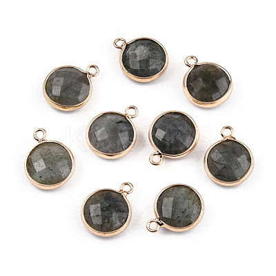 Natural Labradorite Charms G-Q998-026E-1