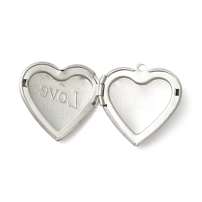 Tarnish Resistant 304 Stainless Steel Diffuser Locket Pendants LS-STAS-K002-06P-1