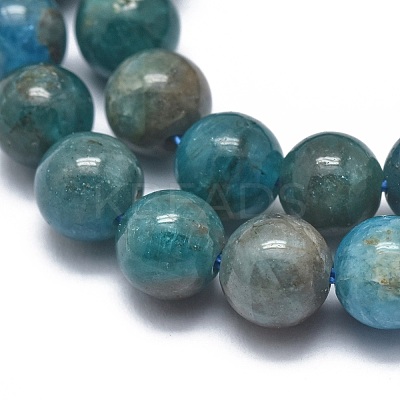Natural Apatite Beads Strands G-I254-08B-1