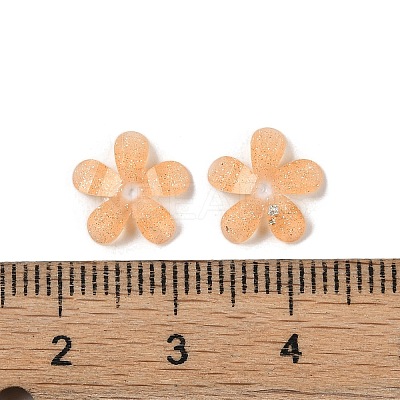 Translucent Epoxy Resin Glitter Powder Decoden Cabochons CRES-S367-14A-1