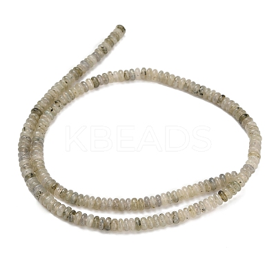 Natural Labradorite Beads Strands G-Z110-B11-2x4mm-1