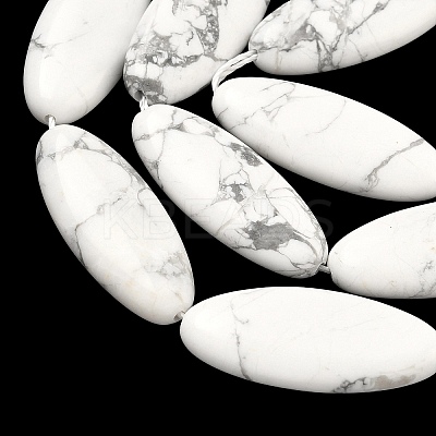 Natural Howlite Beads Strands G-B078-E17-01-1