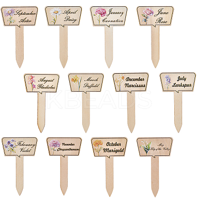2 Bags Wooden Plant Labels DIY-CP0012-70-1