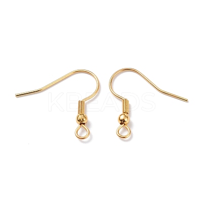 304 Stainless Steel Earring Hooks STAS-T031-17G-1
