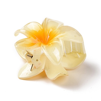 Plastic Claw Hair Clips OHAR-P020-08C-1