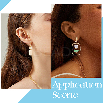 20Pcs Rack Plating Eco-friendly Brass Hoop Earring Findings with Latch Back Closure KK-BBC0027-50G-1