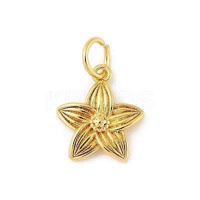 Brass Charms KK-Z107-05G-02-1