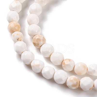 Natural Howlite Beads Strands G-C025-02B-09-1