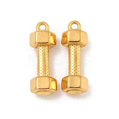 Ion Plating(IP) 304 Stainless Steel Pendants STAS-N103-79G-1