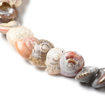Natural Spiral Shell Beads Strands BSHE-G029-06-1