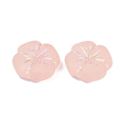 Frosted Transparent Acrylic Beads OACR-P029-19B-02-1