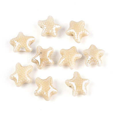 Handmade Porcelain Beads PORC-Q002-03F-01-1