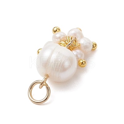 Potato Natural Cultured Freshwater Pearl Pendants PALLOY-JF04749-03-1