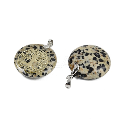 Natural Dalmatian Jasper Flat Round Pendants G-Q188-01P-14-1
