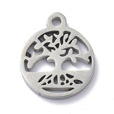 Non-Tarnish 304 Stainless Steel Charms LS-STAS-C038-02P-1