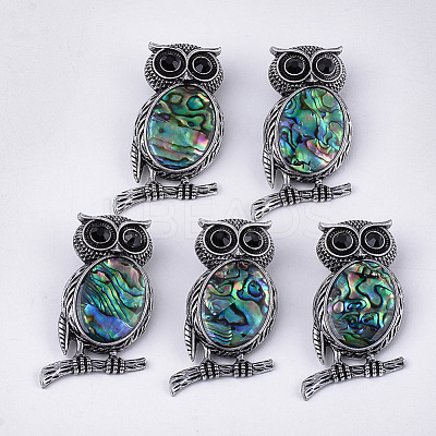 Abalone Shell/Paua Shell Brooches/Pendants RESI-S376-12-1