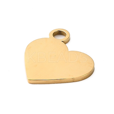 304 Stainless Steel Pendants STAS-M117-01B-G-1