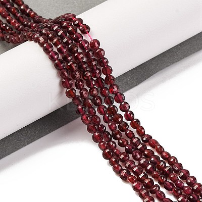 Natural Garnet Beads Strands X-G-F770-B02-01-1