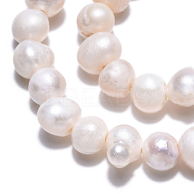 Natural Cultured Freshwater Pearl Beads Strands X-PEAR-N013-04E-1