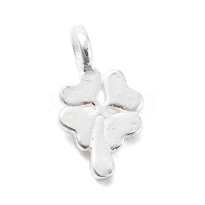 925 Sterling Silver Charms STER-S009-01B-S-1
