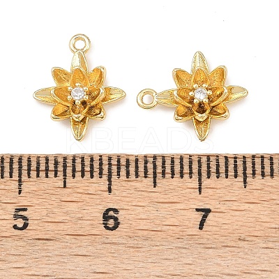 Brass Micro Pave Clear Cubic Zirconia Charms KK-G544-07G-03-1