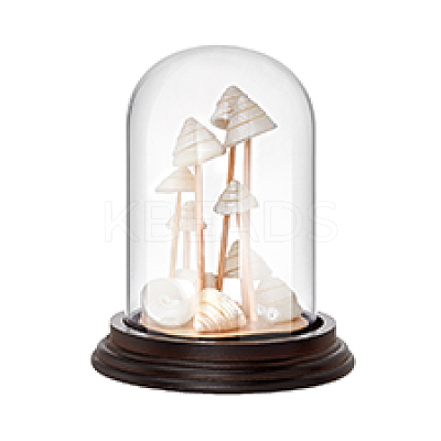 Glass Dome Cover ODIS-WH0079-021B-1