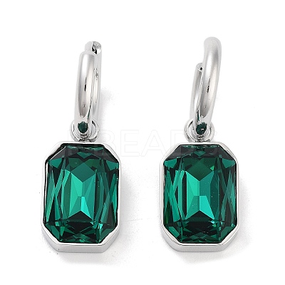 304 Stainless Steel Hoop Earring EJEW-C017-06P-1