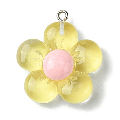Translucent Resin Pendants RESI-P039-01P-1