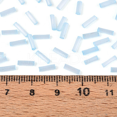Glass Bugle Beads X-SEED-N007-28H-1