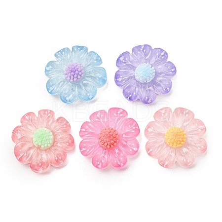 Transparent Resin & Glitter Powder Cabochons RE-CBA0EC6-12-1