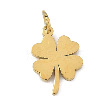 304 Stainless Steel Charms STAS-M120-07C-G-1