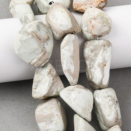 Natural Variscite Beads Strands G-D098-C09-1