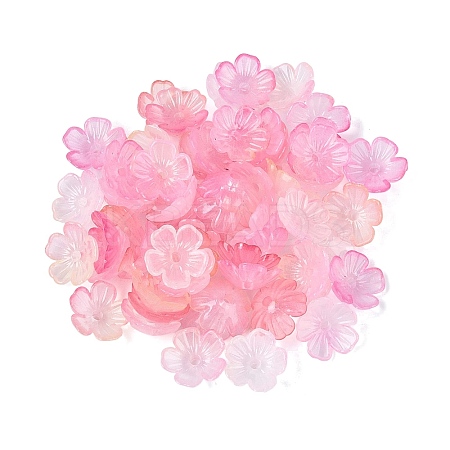 Transparent Plastic Bead Caps KY-Q005-02A-10-1