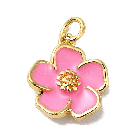 Rack Plating Brass Enamel Charms KK-O142-56G-04-1