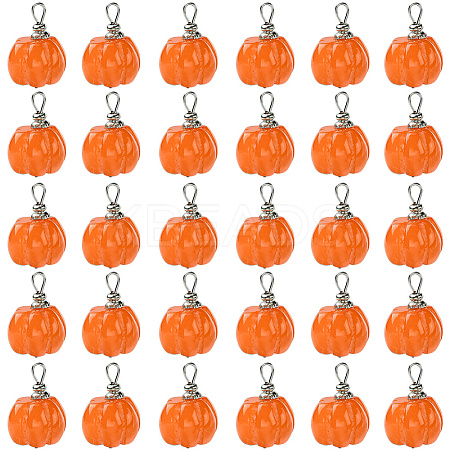 30Pcs Opaque Resin Vegetable Pendants RESI-SC0006-33-1